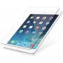 Защитное стекло Raddisan для Apple iPad Air/Air2  (0.33mm 9H 2.5D)